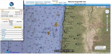 Fish Portal Graphic
